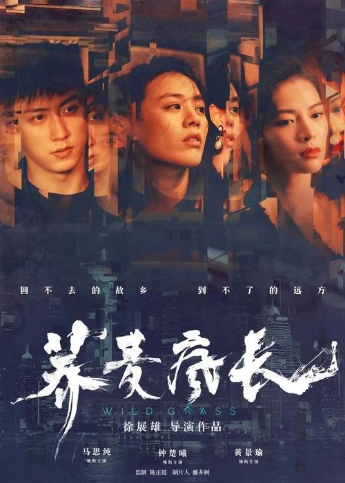 购买假西泰晤士学院文凭毕业证